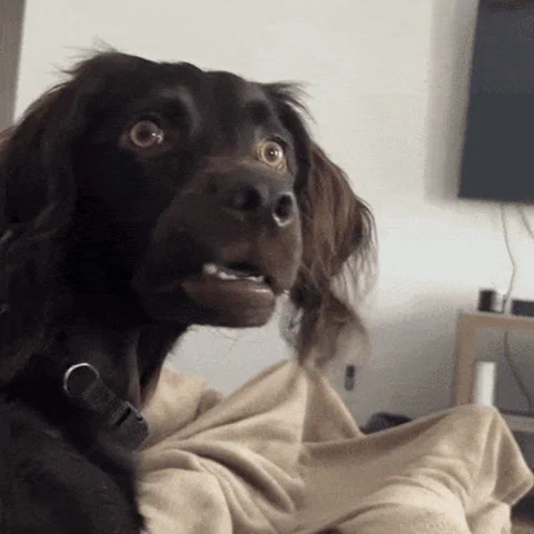 20250305-210044.png 20250305-210044.png