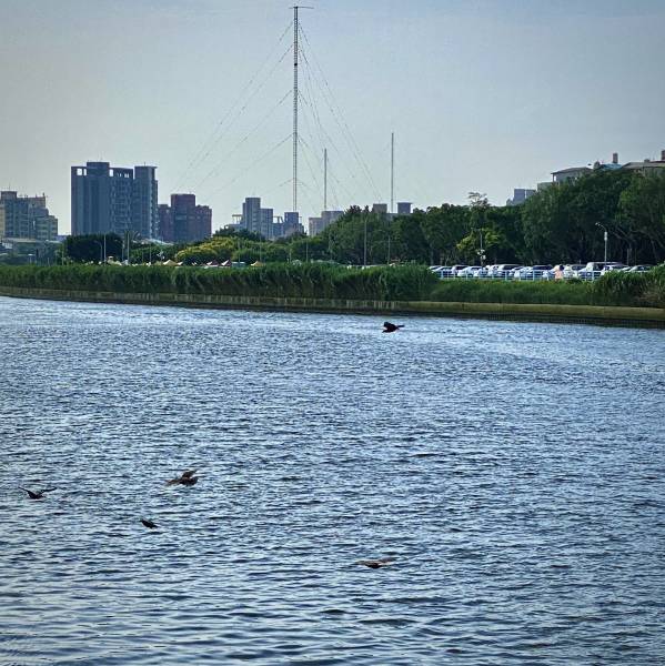 yuna-landscape-02.jpg yuna-landscape-02.jpg