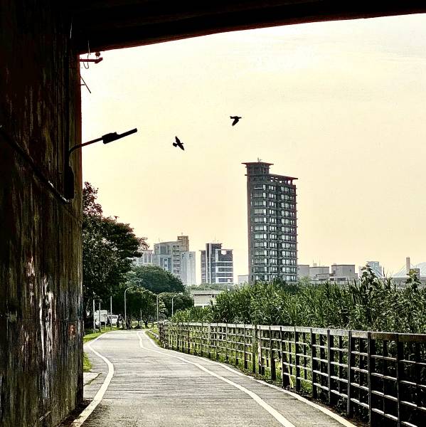 yuna-landscape-01.jpg yuna-landscape-01.jpg