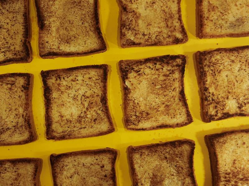 lots-of-toast.jpg
