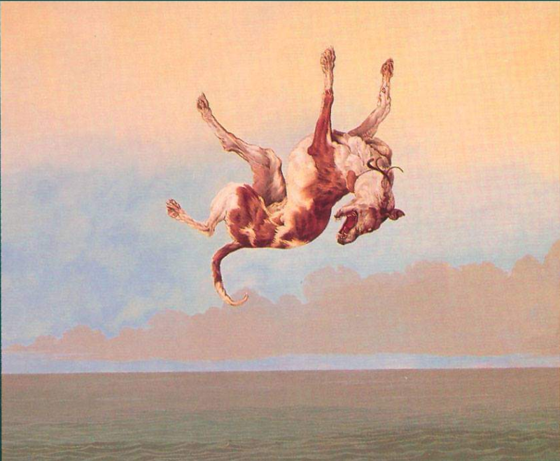 falling-dog-bucknall.png falling-dog-bucknall.png