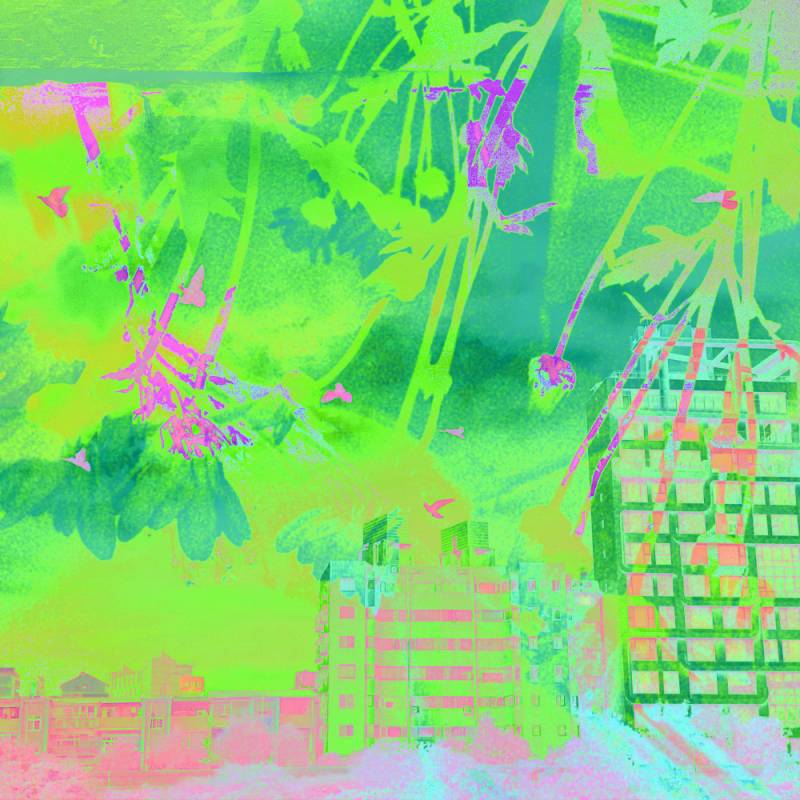 zoey-jimp-25.jpg zoey-jimp-25.jpg