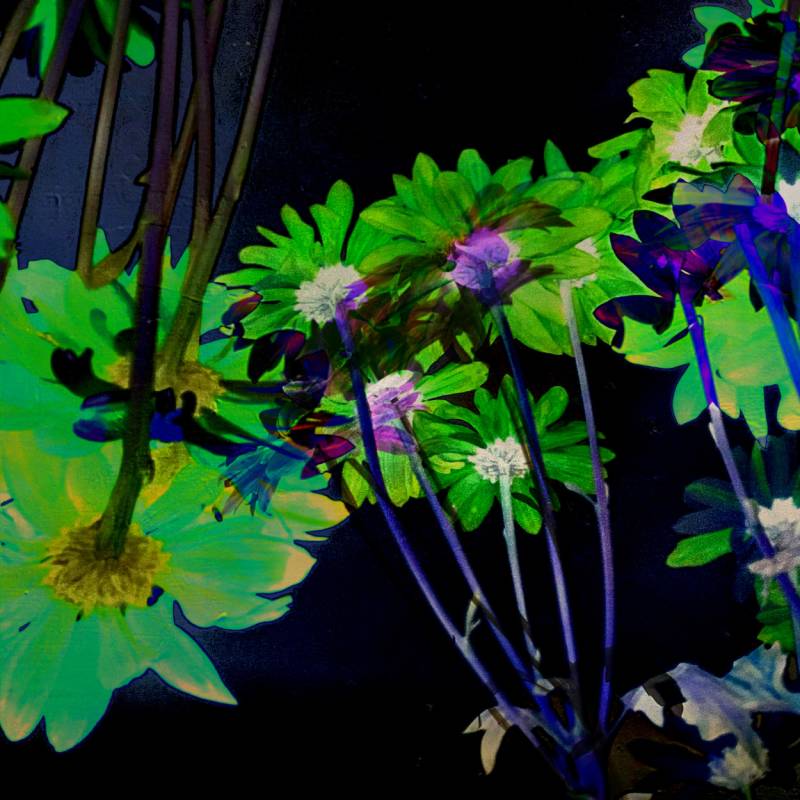 zoey-jimp-03.jpg zoey-jimp-03.jpg