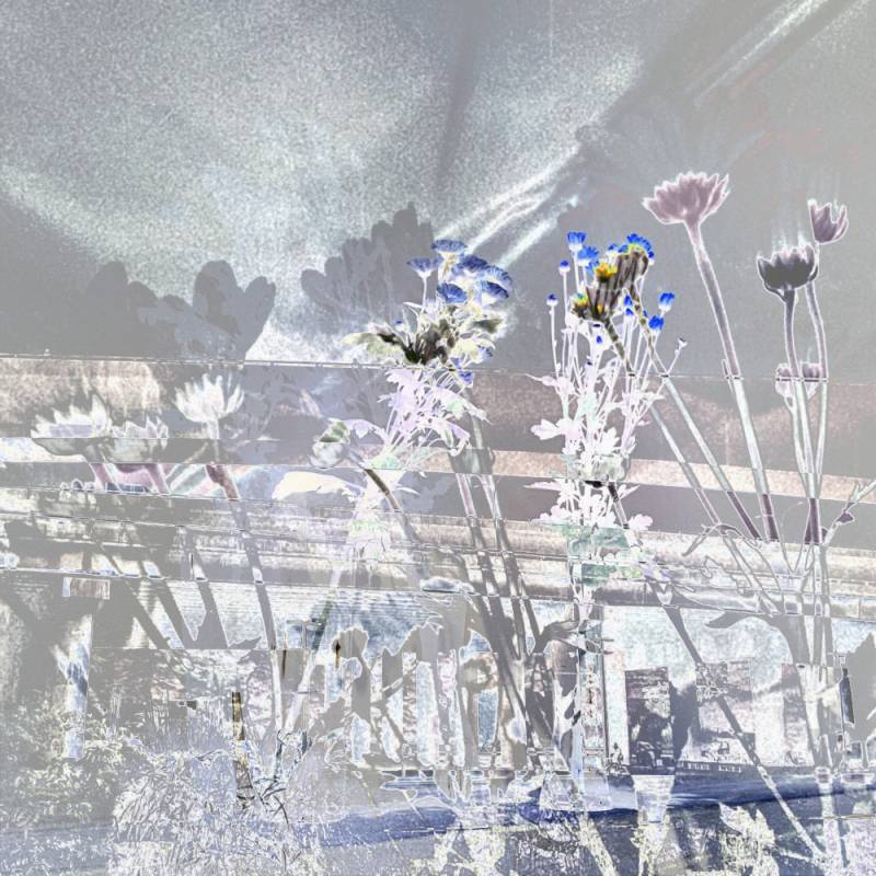 {"eId":"213026050749069","CameraPosition":1} {"eId":"213026050749069","CameraPosition":1}