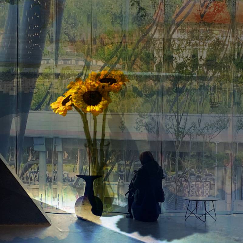 zoey-jimp-23.jpg zoey-jimp-23.jpg