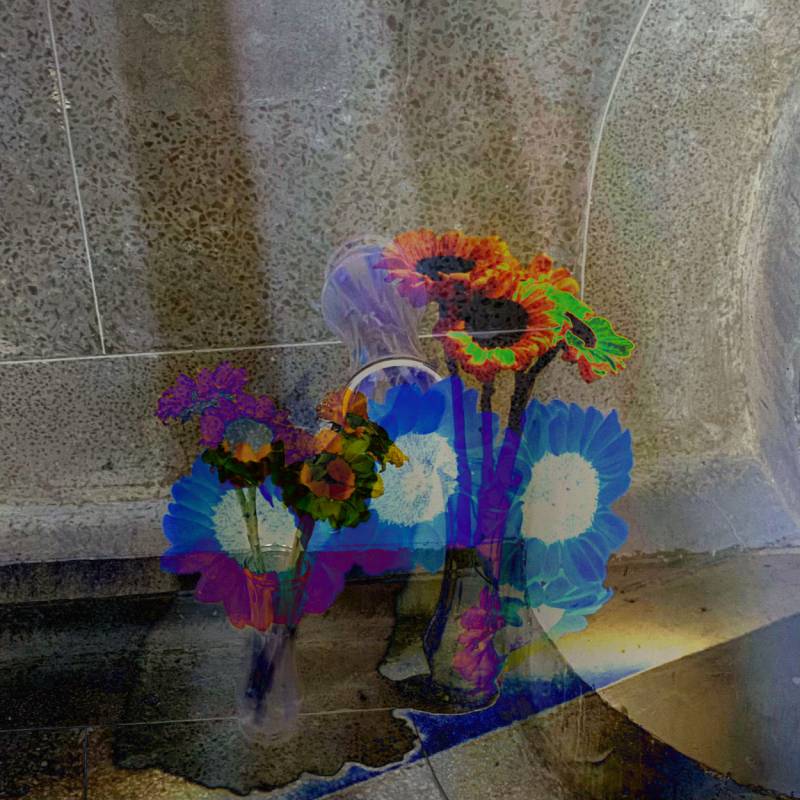 zoey-jimp-05.jpg zoey-jimp-05.jpg