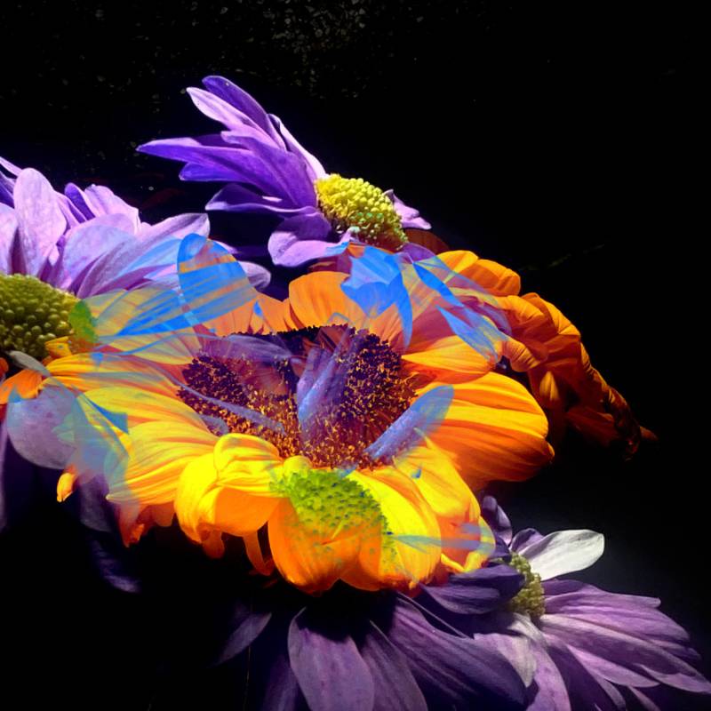 zoey-jimp-07.jpg zoey-jimp-07.jpg