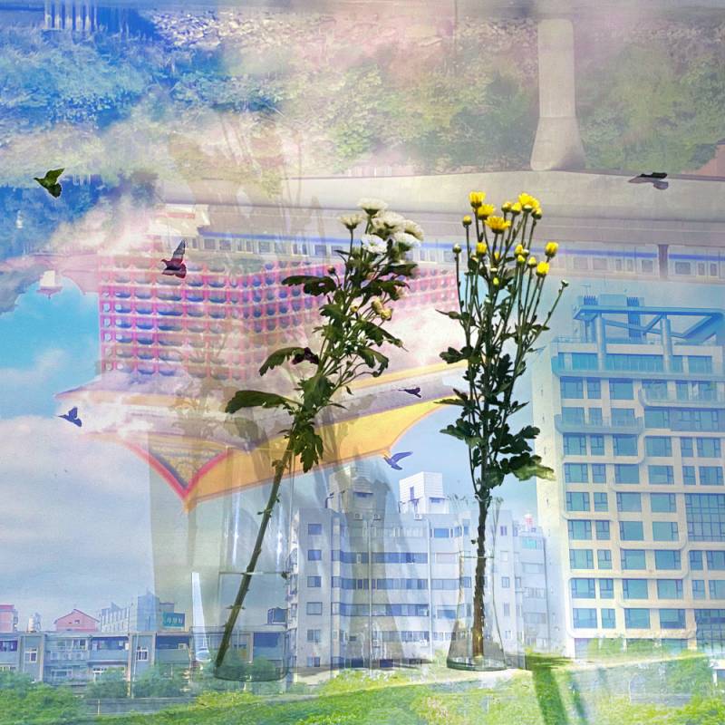 zoey-jimp-21.jpg zoey-jimp-21.jpg