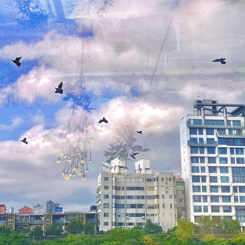 zoey-jimp-20.jpg zoey-jimp-20.jpg