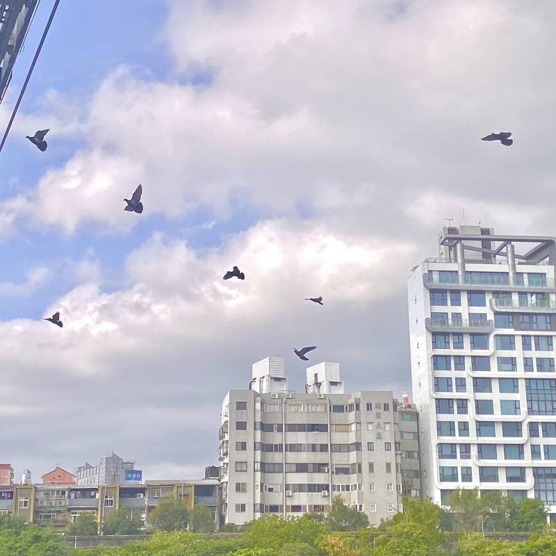 zoey-landscape-01.jpg zoey-landscape-01.jpg