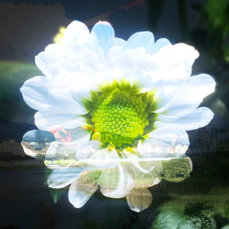 zoey-jimp-24.jpg zoey-jimp-24.jpg