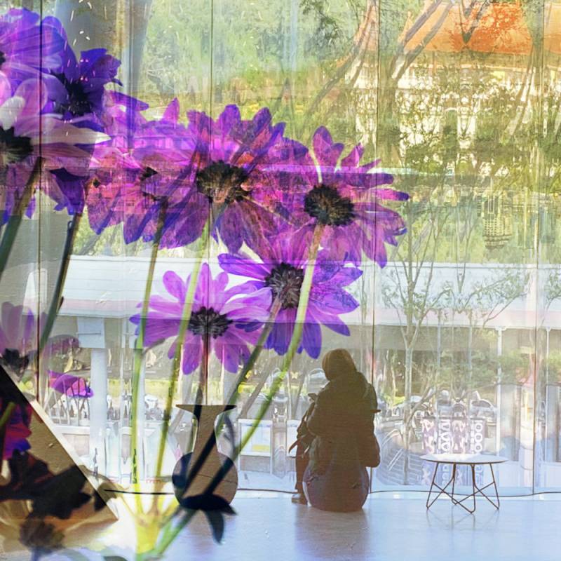 zoey-jimp-22.jpg zoey-jimp-22.jpg