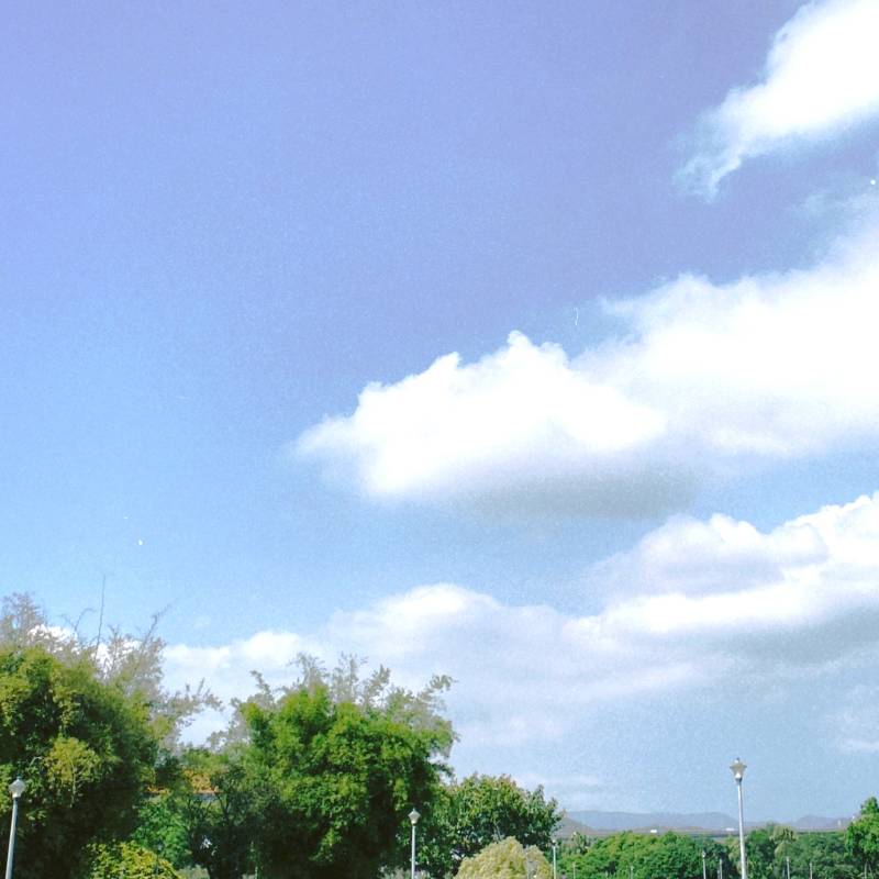 ingram-landscape-01.jpg ingram-landscape-01.jpg