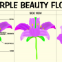 zoey-lin-fantasticflower-infographic.png