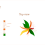 olivia-fantasticflower-infographic.png